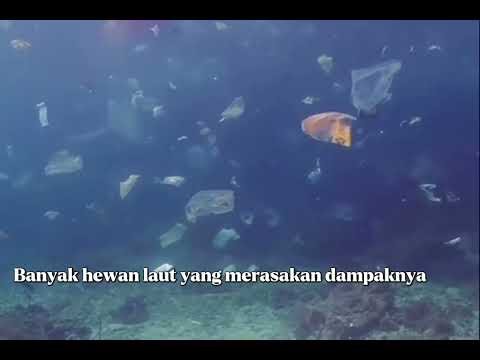 Tercemarnya Lingkungan Pantai