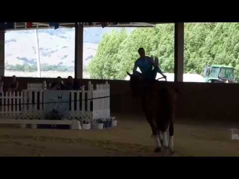 Mary McCormick Tech Test  CVI Pacific Cup 2014