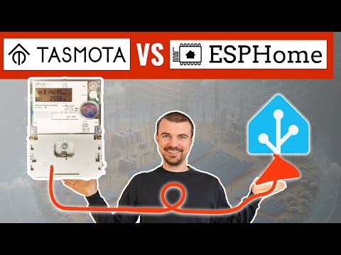 jeder Stromzähler digital auslesen unter 10€