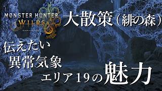 【#MHWilds】アプデ終了してから始まるフィールド大散策(緋の森編)