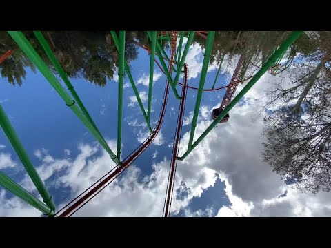 Tatsu short video by Julio & Des