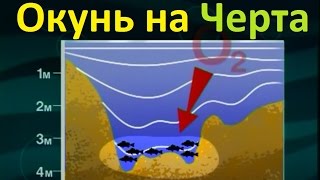 Диалоги о рыбалке зима ловля окуня