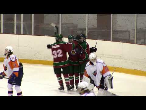 K-Kissat- K-Vantaa B erä 1