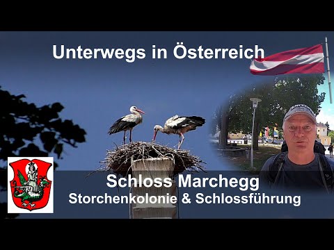 Schloss Marchegg: Storchenkolonie & Schlossführung (N.Ö.)