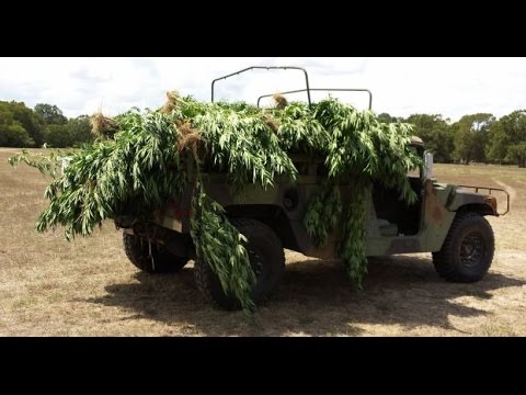 Ganja Crew - Vasarejant