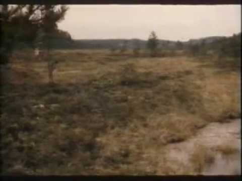 Harri Nuutinen laulaa "Viimeinen savotta"-elokuvassa (1977)