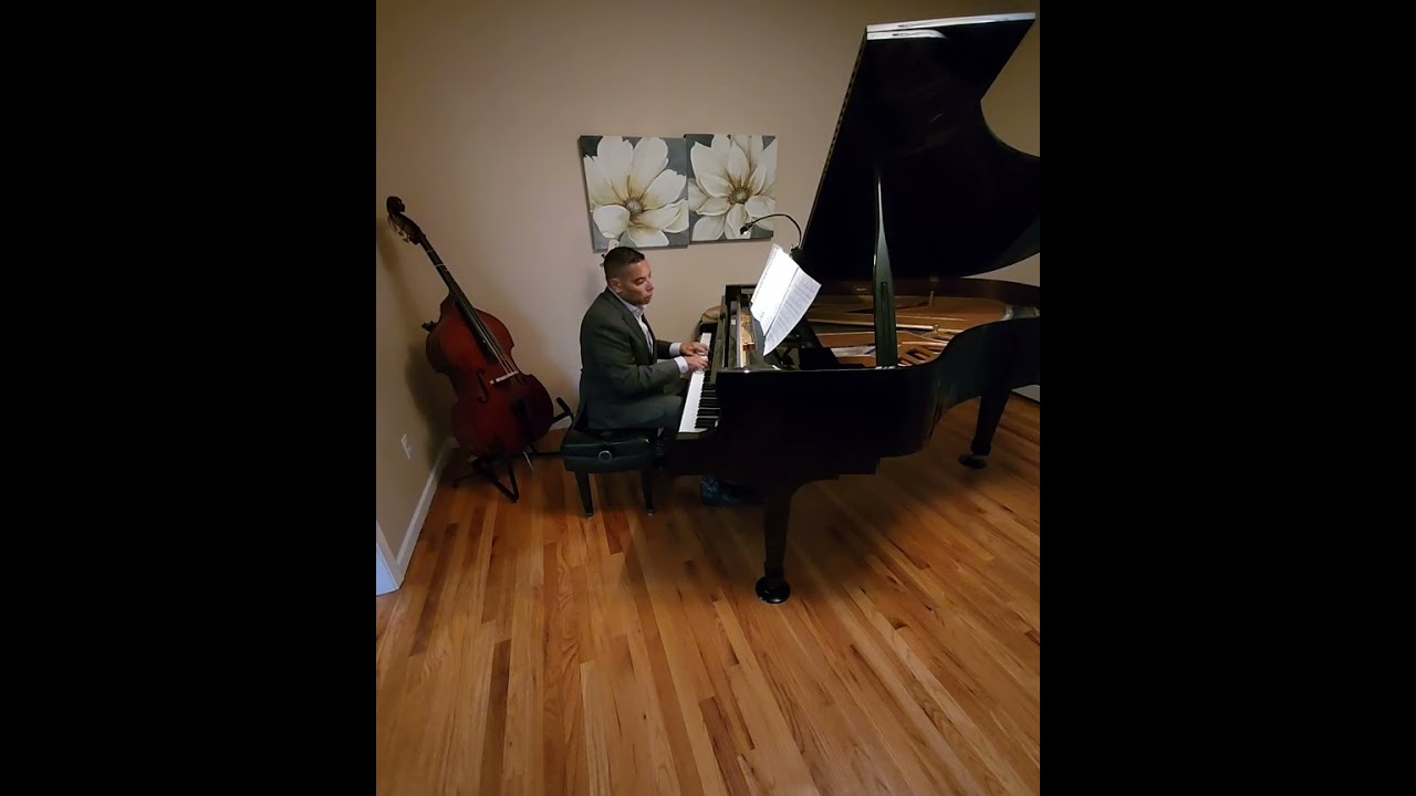 Promotional video thumbnail 6 for Piano Man Dan