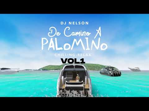 DJ Nelson x Guaynaa x Alejandro Armes - Que Te Brinquen ft. Master Joe [Official Audio]