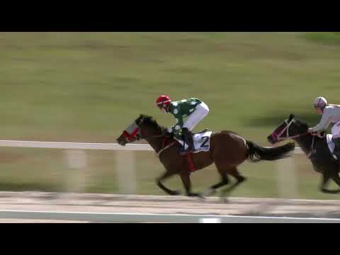 2021.05.16. 05. futam - ÁRPÁDHALMI HENDIKEP (V.o.) (szintetikus pálya)