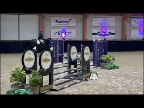 Debby // Show Jumper // Diamant de Semilly // 2020 // Mare