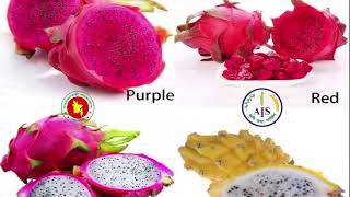 বাণিজ্যিকভাবে ড্রাগন ফল (ফকির)