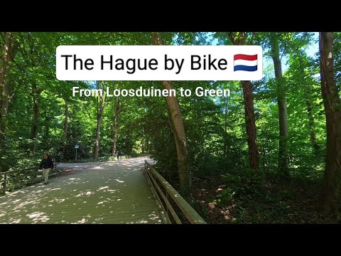 Sunny Cycling in The Hague, Netherlands: Loosduinen - Haagse Bos | Treadmill Video | #eleonoraswalks