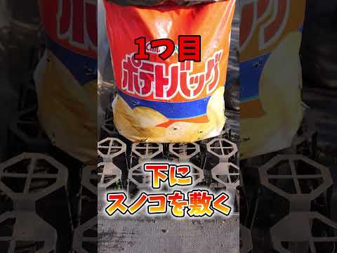 ポットフィルタイヤアース植物の種でジャガイモを育てる方法