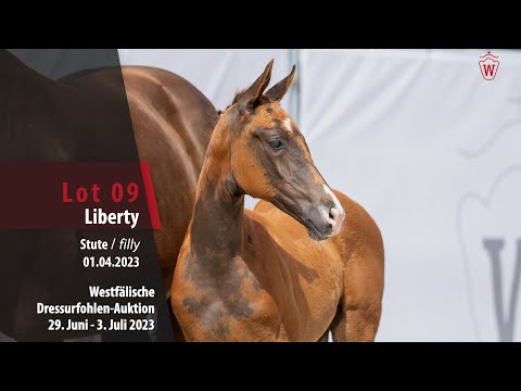 Dressurfohlen-Auktion Lot 09 Liberty Stute v. Las Vegas -  Damon Hill