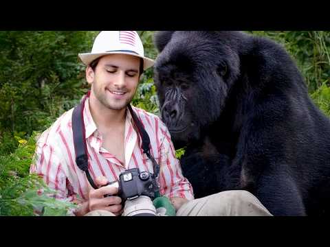 Les animaux choquent les humains de la manière la plus mignonne 🤩 drôles de vidéos d'animaux 2025