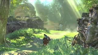 Zelda Wii U Gameplay Footage (High Quality - HD)