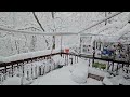 'No School Today' by Dean Friedman (The Treehouse Journals)