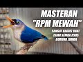 MASTERAN RAMBATAN PARUH MERAH GACOR SPEED RAPAT NEMBAK DURASI PANJANG SUARA RPM MEWAH JERNIH JEDA