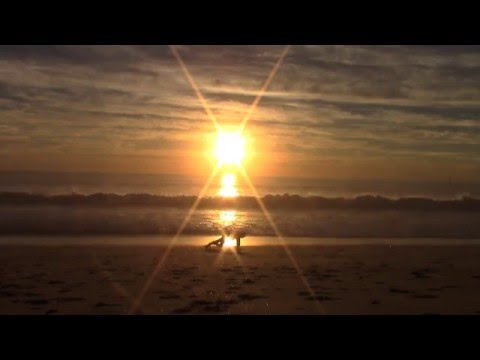 Sunset Beach Yoga Flow en Playa del Rey
