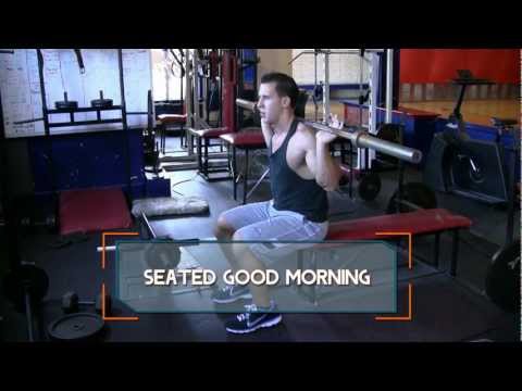Seated Good Morning - How to do Seated Barbell Good Mornings