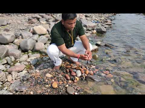 Swayambhu Narmadeshwar Shivling, Narmada  Shiva Lingam, Narmada Bana Lingam , +91 9399711163