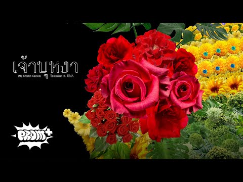 TOSSAKAN - เจ้าบุหงา Feat. UMA [Teaser 3/9]