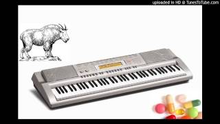 The Mountain Goats - Drug Life (Casio version)