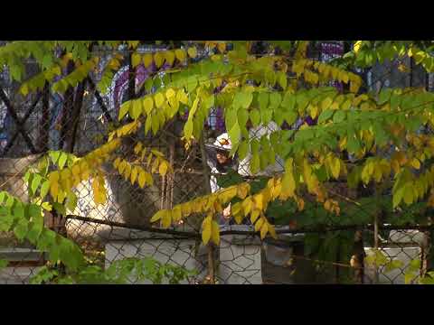 Reč struke ep. 120 17.10.2017. NAJAVA