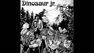Dinosaur (Jr.) - Dinosaur (1985) (Private Remaster) - 11 Bulbs of Passion