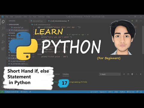 Python Tutorial For Beginners Hindi 17 Short Hand If Else In Python Python Programming