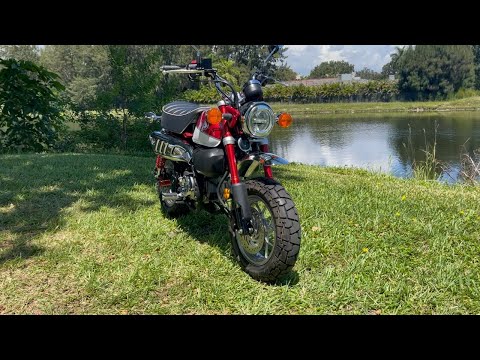 2021 Honda Monkey ABS in North Miami Beach, Florida - Video 1