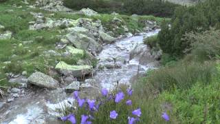 Invisible God   Andrew Peterson   Lyrics