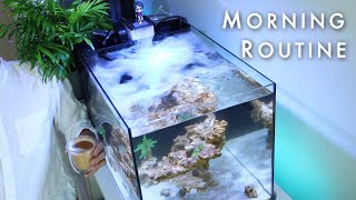 Morning Routine with my Saltwater Reef Tank | Blue Reef Tank