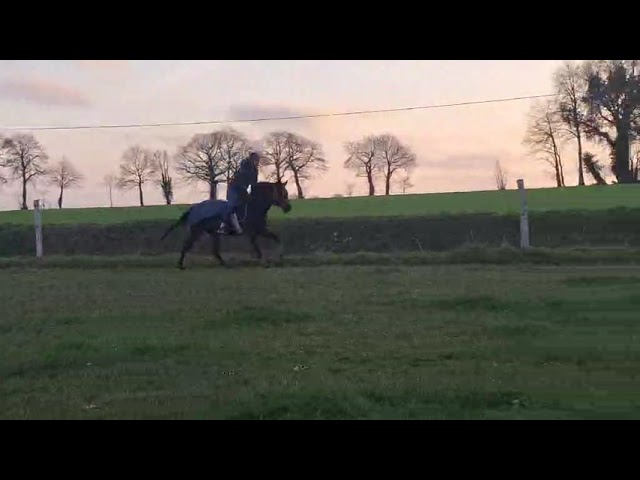 AQPS M&acirc;le 2 ans 