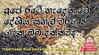 Traditional Rice in Sri Lanka - Tasty - Nutritious