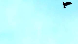 Hazeltons - Justin Vernon