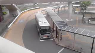 とある休日の水戸駅南口バスターミナル1