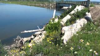 The Blind Child's Prayer--Hank Williams Sr.