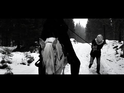 Headsic - We Will Not Forgive This [OFFICIAL MUSIC VIDEO]