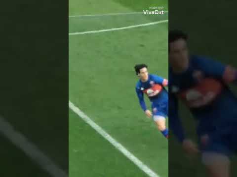 TIGRE sos mi vida! PREDIGER mi corazón