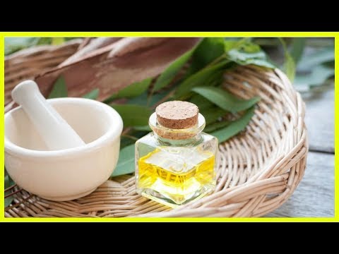 オニオンジュースを作る:咳止めシロップを自分で作る方法です 植物