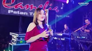 Download lagu CAMELIA MUSIC - MUARA HATI - RIA ANDIKA - WEDDING VIA & ILHAM - JEPARA ANNUAL HARMONY mp3