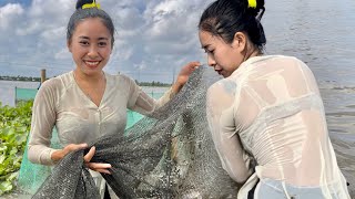 Thăm Dớn Mùa Nước Nổi, Chỉ Cần Ra Đồng Là Bắt Đầy Thau Cá | Cẩm Vân CGMT #316