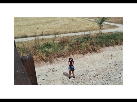 Hontoria del Pinar 2019