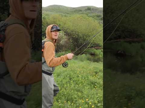 This destroys trout fishing!