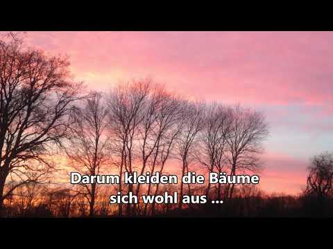 Warum kleiden die Bäume sich wohl aus - mit Text