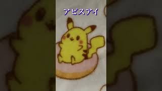 毎日ポケカ開封311日目