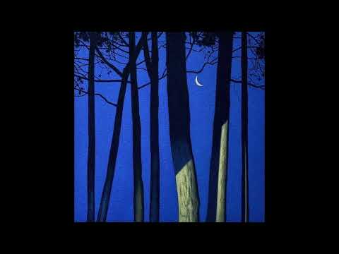 [FREE] Selug x Nekfeu type beat ~ "Nocturne"