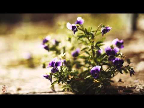 ☆ Tuhle chybu chtěl bych mít - Karel Zich ☆ [HD]
