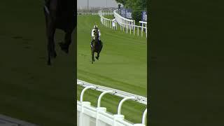Download lagu Jockey jumps off horse at 40mph! mp3 Download lagu Jockey jumps off horse at 40mph! mp3